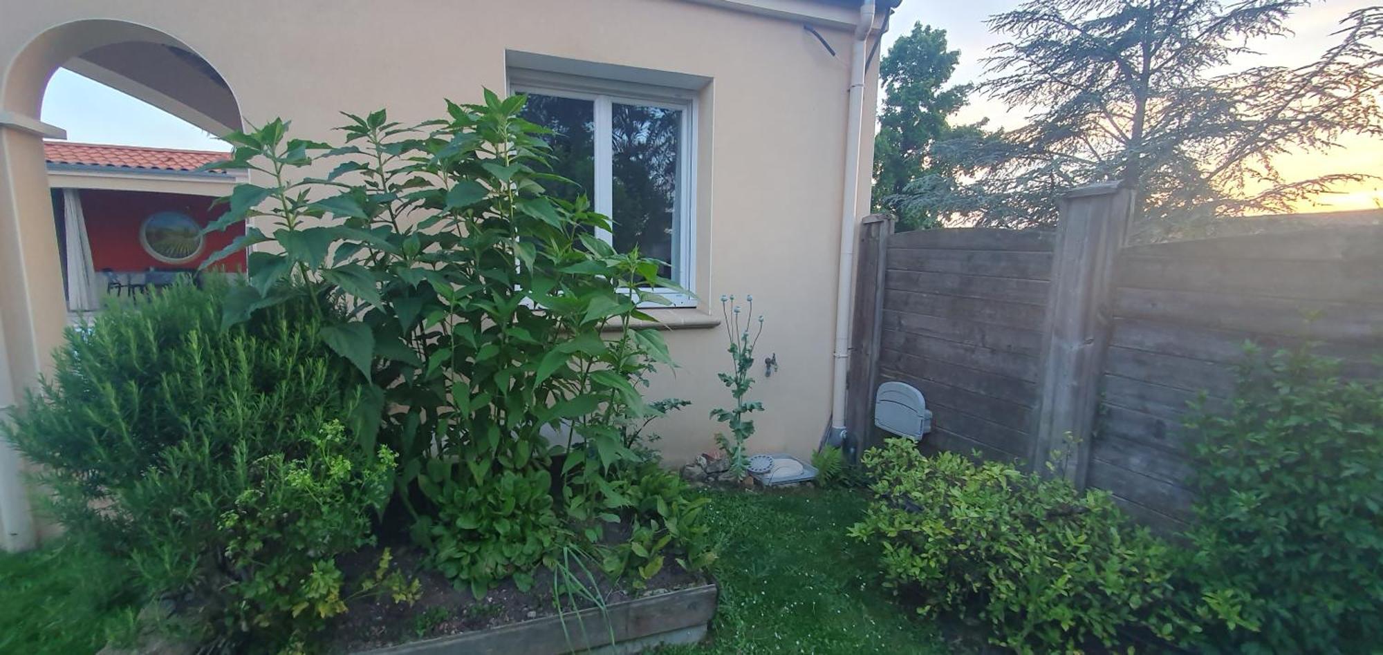 Gite Calme #2 Ou 3 Pers #Piscine #Cholet #Wifi Haut Debit #Travailleurs Thales Lacroix Et Autres Entreprises #Petits Dejeuners Et Repas Possibles Sur Demande Le May-sur-Evre Luaran gambar